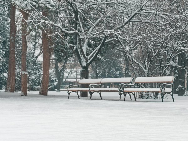 Comment traiter efficacement les problèmes de boutons d'oreille ?